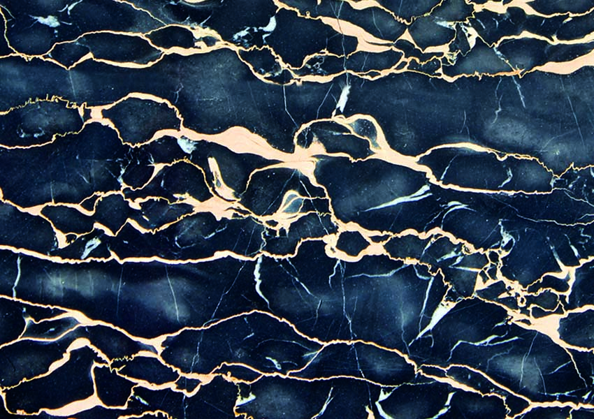 1586254164907274.jpg 意大利黑金花1-1.jpg